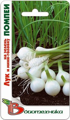 Лук Помпеи на зелень и мини-головку (0,5 г) Биотехника