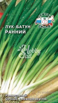 Лук Ранний батун (1 г) Седек 