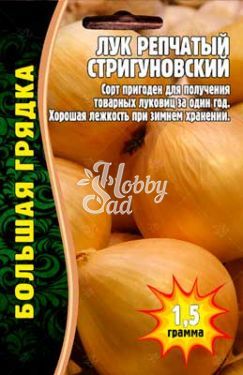 Лук Стригуновский репчатый (1000 шт) ЭКЗОТИКА