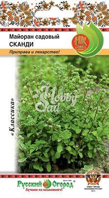 Майоран Сканди садовый (0,1 г) Русский Огород