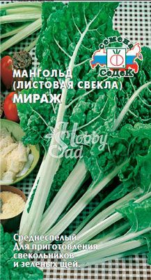 Мангольд Мираж (2 г) Седек