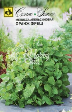 Мелисса Оранж Фреш (апельсиновый аромат) (15 шт) Семко 