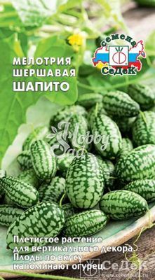 Мелотрия Шапито мексиканский миниатюрный арбуз (0,05 г) Седек