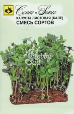Микрозелень Капуста Кале листовая (смесь) (2 г) Семко