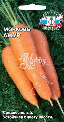 Морковь Ажур (1 г) Седек