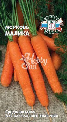 Морковь Малика (2 г) Седек