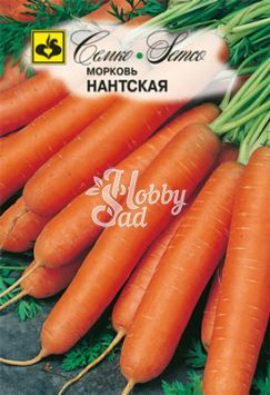 Морковь Нантская 4 (2 г) Семко