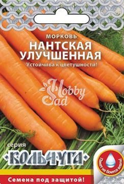 Морковь Нантская улучшенная (2 г) РО серия Кольчуга