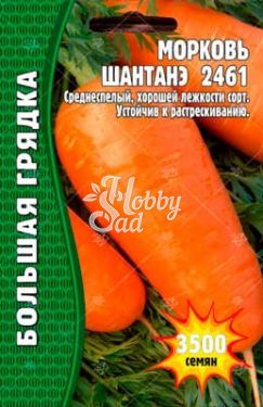 Морковь Шантане 2461  (5000 шт) ЭКЗОТИКА