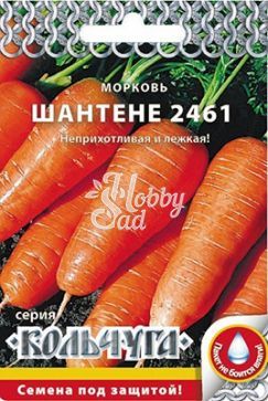 Морковь Шантенэ 2461 (2 г) РО серия Кольчуга