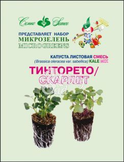 Набор  для микрозелени Капуста Тинторето листовая Кале (смесь) (3 г коробка +коврик+семена )  Семко