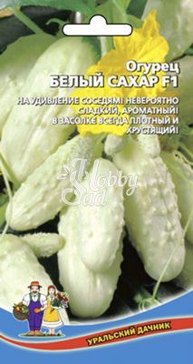 Огурец Белый Сахар F1 (10 шт) Уральский Дачник