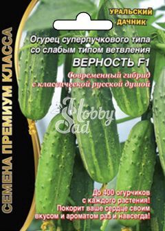 Огурец Верность F1  (5+2 шт) Уральский Дачник серия Премиум