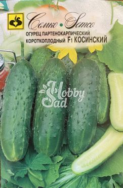 Огурец Косинский F1 партенокарпический (5 шт) Семко