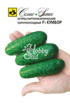 Огурец Кумбор F1 партенокарпический (5 шт) Семко