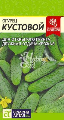 Огурец Кустовой (0,5 гр) Семена Алтая