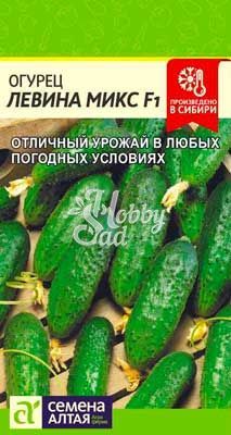 Огурец Левина Микс F1 (0,3 гр) Семена Алтая