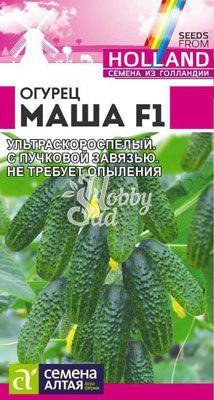 Огурец Маша F1 (5 шт) Семена Алтая Seminis