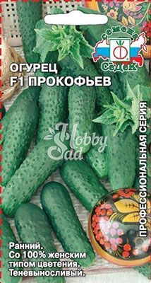 Огурец Прокофьев F1 (8 г) Седек