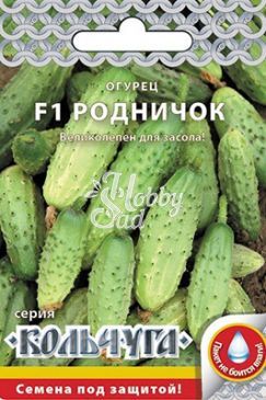 Огурец Родничок (12 шт) РО серия Кольчуга