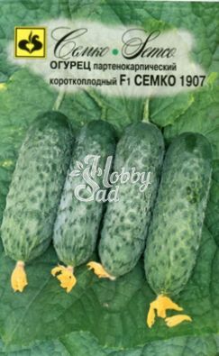 Огурец Семко 1907 F1 партенокарпический (5 шт) Семко