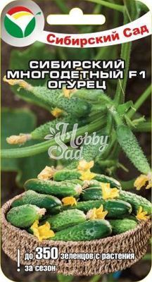 Огурец Сибирский многодетный  F1 (7 шт) Сибирский Сад