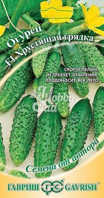 Огурец Хрустящая грядка F1 (10 шт) пикуль Гавриш