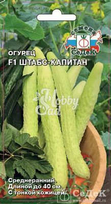 Огурец Штабс-Капитан F1 (0,2 г) Седек