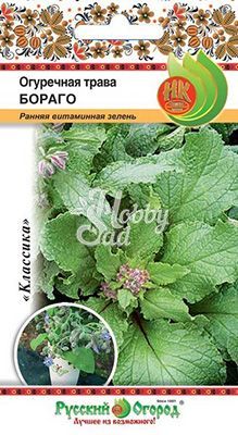 Огуречная трава Бораго (0,5 г) Русский Огород 