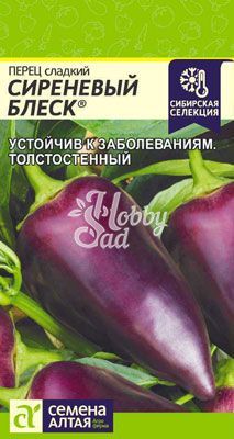 Перец Сиреневый Блеск сладкий (0,1 г) Семена Алтая серия Наша Селекция!