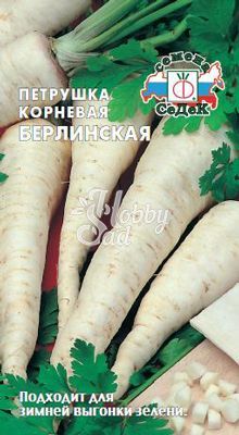 Петрушка Берлинская корневая (2 г) Седек