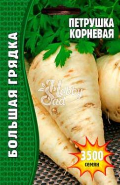 Петрушка корневая (3500 шт) ЭКЗОТИКА