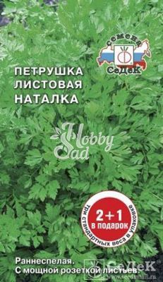 Петрушка Наталка листовая (6 г) Седек серия 2+1