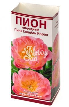 Пион Пинк Гавайан Корал 2-3 (1 шт) Поиск ХИТ