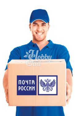 Почта России    (350 р) курьер онлайн до 5 кг