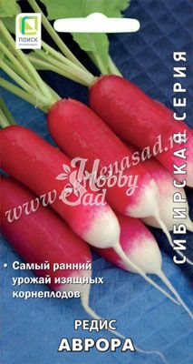 Редис Аврора (3 гр) Поиск Сибирская серия