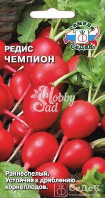 Редис Чемпион (3 г) Седек