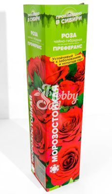 Роза Преферанс Чайно-гибридная (1 шт. в коробке) Семена Алтая