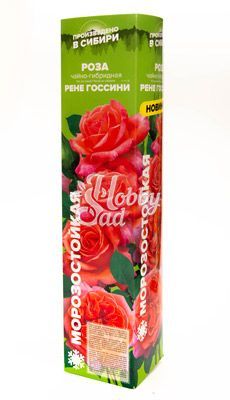Роза Рене Госсини Чайно-гибридная (1 шт. в коробке) Семена Алтая Новинка!