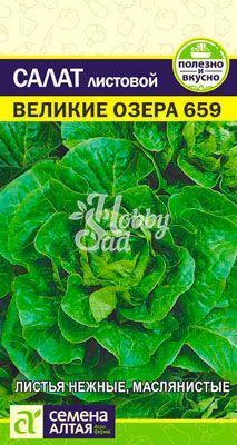 Салат Великие Озера-659 (0,5 гр) Семена Алтая 