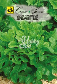 Салат Дубачек МС листовой (1 г) Семко