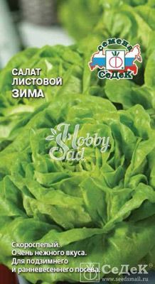 Салат Зима листовой (0,5 г) Седек