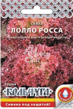 Салат Лолло Росса листовой (1 г) серия Кольчуга