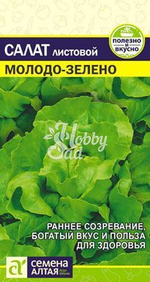 Салат Молодо-Зелено (0,5 гр) Семена Алтая