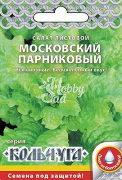 Салат Московский парниковый листовой (1 г) РО серия Кольчуга