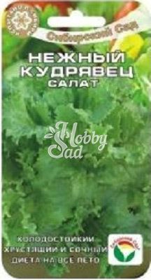 Салат Нежный кудрявец  (0,5 г) Сибирский Сад