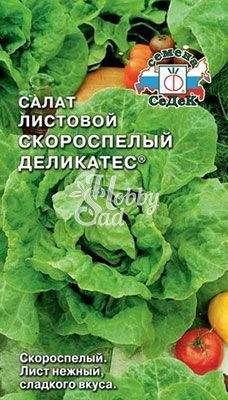 Салат Скороспелый Деликатес листовой (0,5 г) Седек