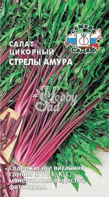 Салат Стрелы Амура цикорный (0,5 г) Седек