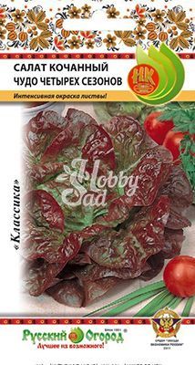 Салат Чудо 4-х сезонов кочанный (2 г) Русский Огород