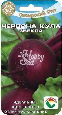 Свекла Червона Кула (2 г) Сибирский Сад